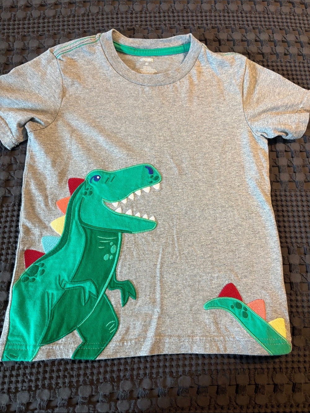 Gymboree Kids Gray T-Shirt with Green Dinosaur Graphic